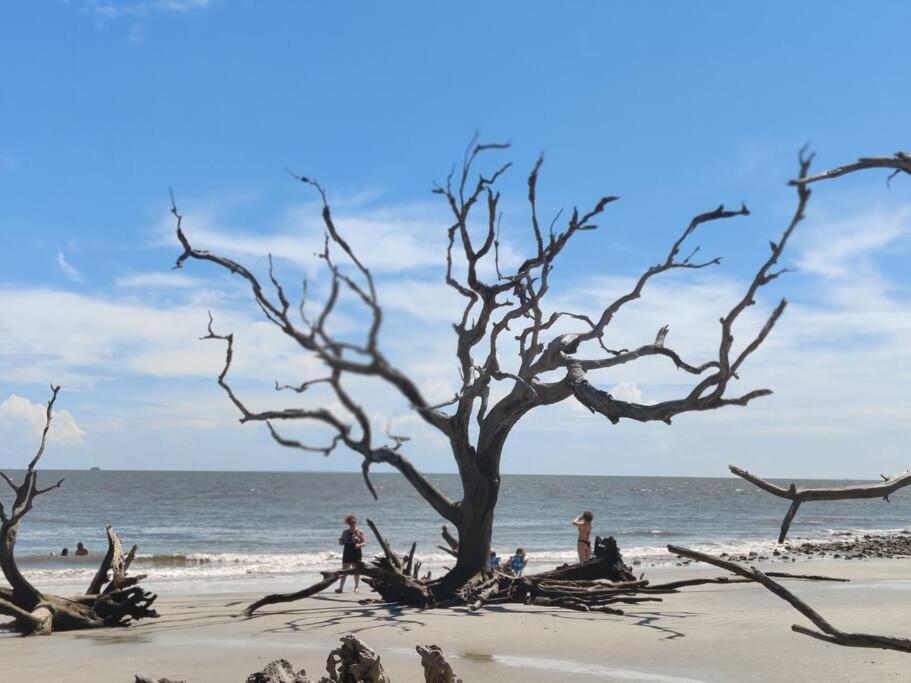 Jekyll Island House/ Kellys On The Coast /King Bed 빌라 외부 사진